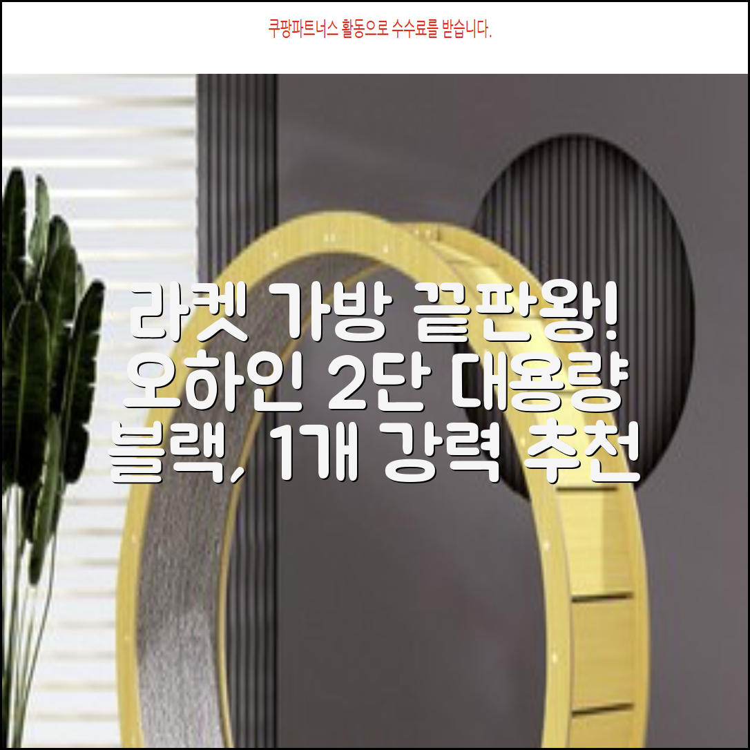 오하인 배드민턴 테니스 스쿼시 2단 대용량 라켓 가방, 블랙, 1개 추천 리뷰