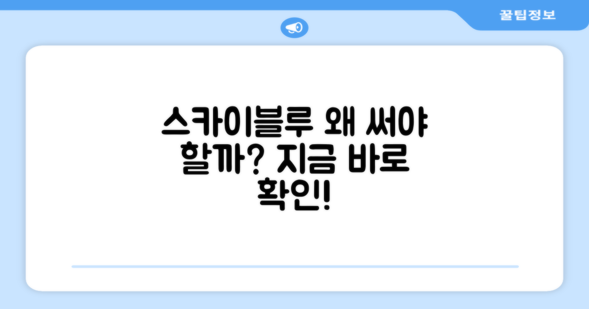 스카이블루, 왜 추천할까?