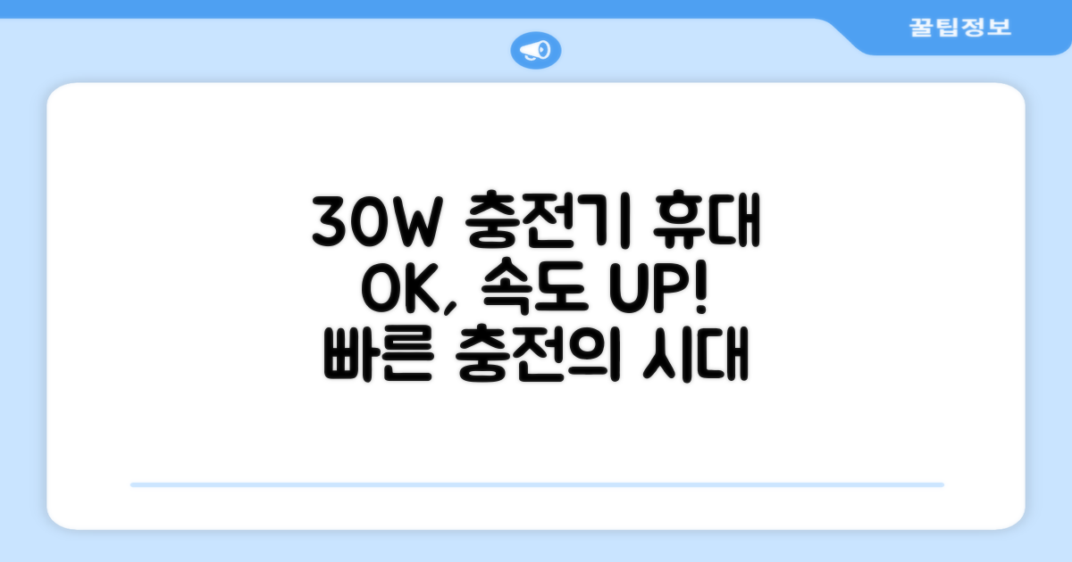 30W 충전기, 휴대성과 속도를 동시에