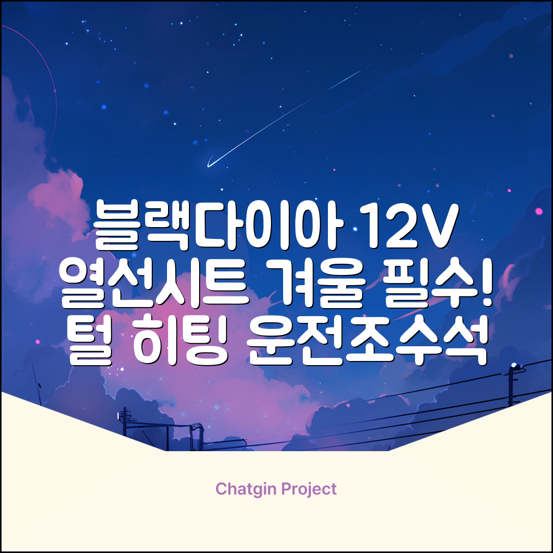 블랙다이아 차량용 열선시트 (1P) 털 겨울 히팅 전기시트, 1개, 12V (운전/조수석) 추천 리뷰
