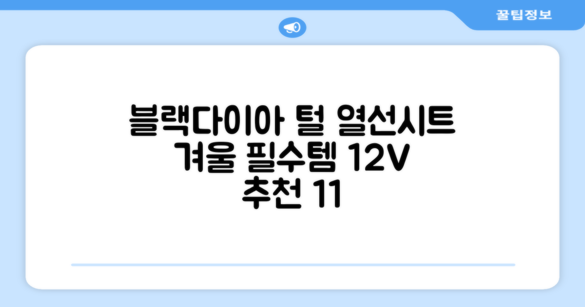 블랙다이아 차량용 열선시트 (1P) 털 겨울 히팅 전기시트, 1개, 12V (운전/조수석) 추천 리뷰