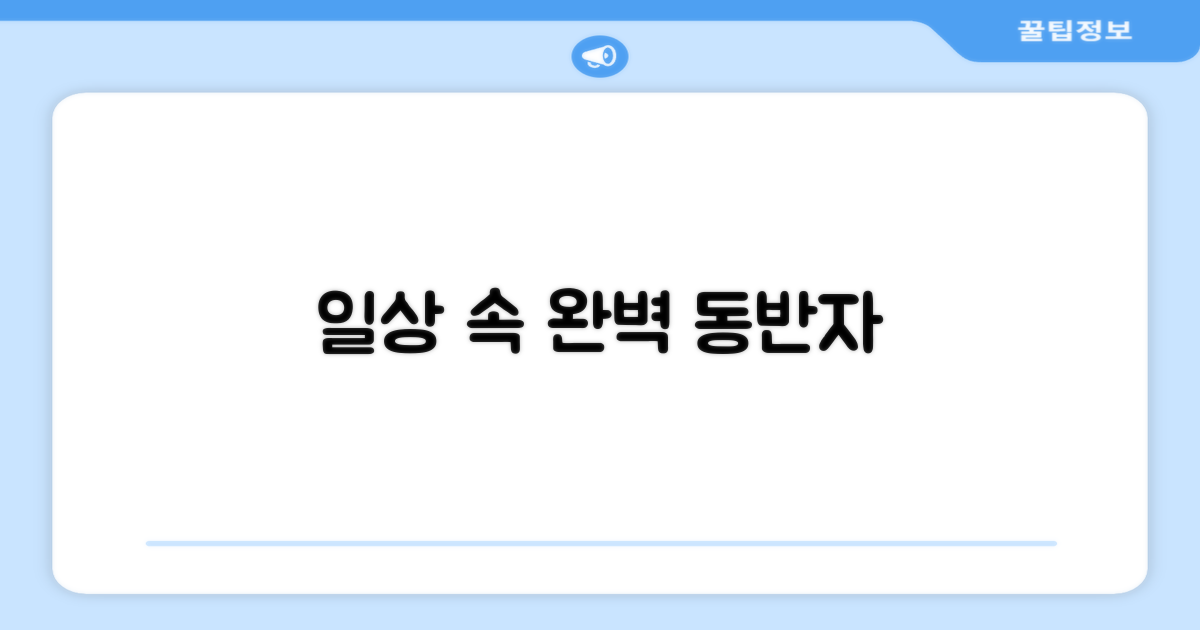 일상에 스며든 완벽한 동반자