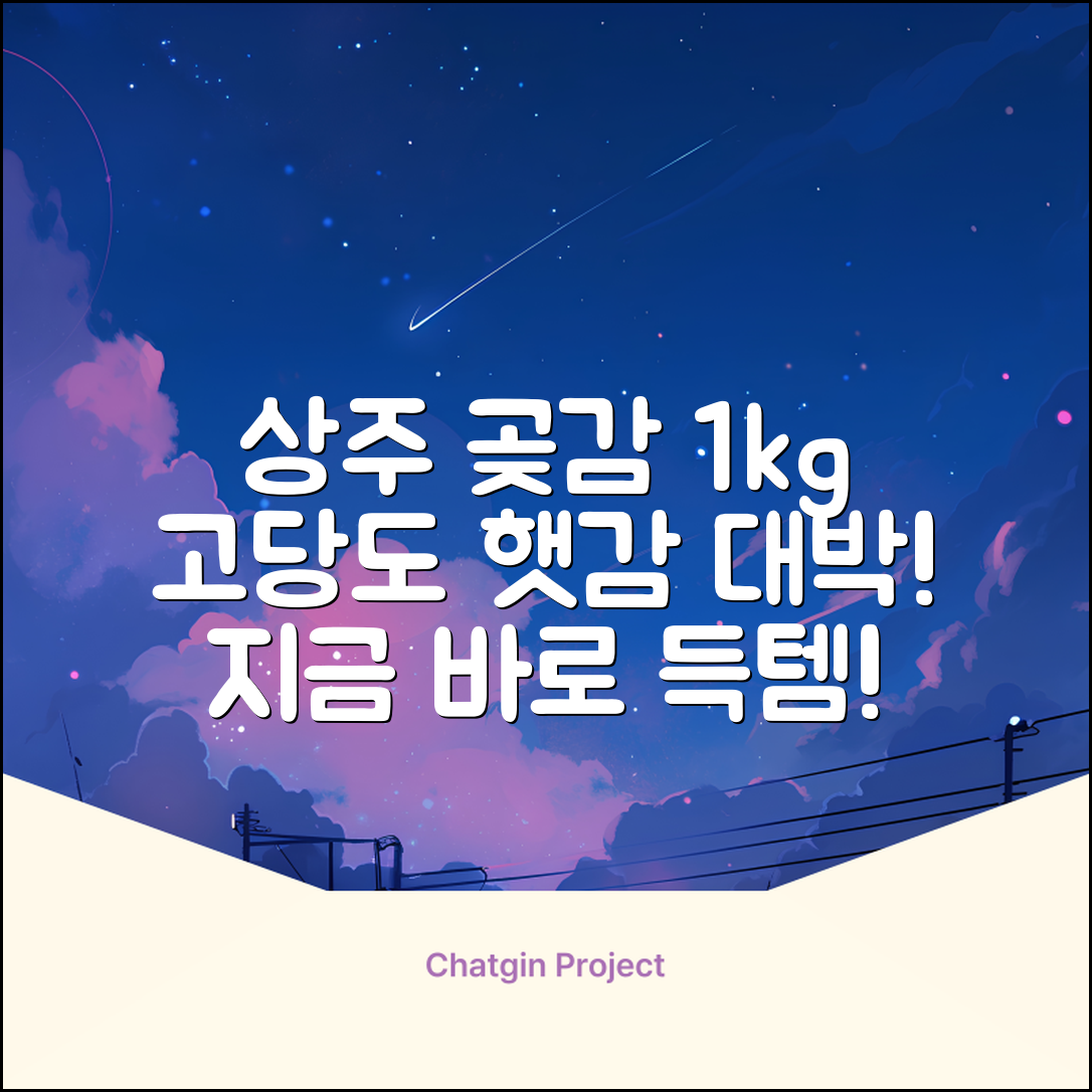 상주 곶감 초특가 1kg 고당도 햇감, 1개 추천 리뷰