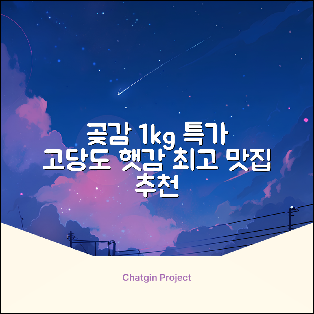 상주 곶감 초특가 1kg 고당도 햇감, 1개 추천 리뷰