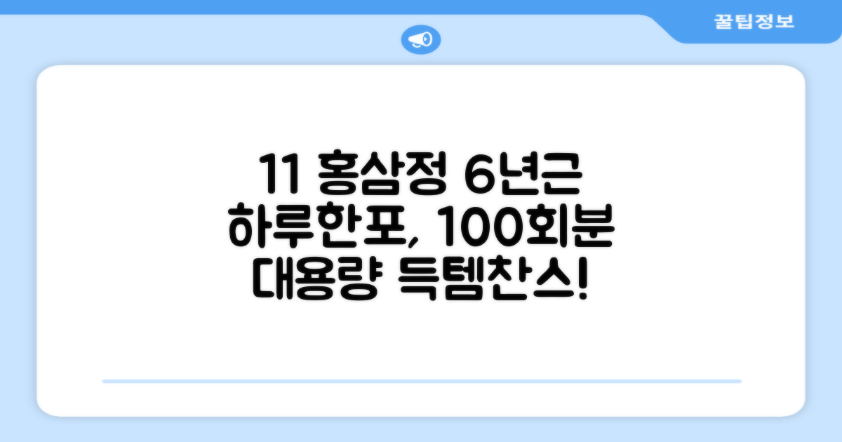 [1+1 특가] 홍삼정 6년근 하루한포 100회분 대용량+쇼핑백, 2개, 1L 추천 리뷰