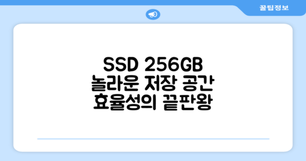 256GB SSD: 저장 공간의 효율성