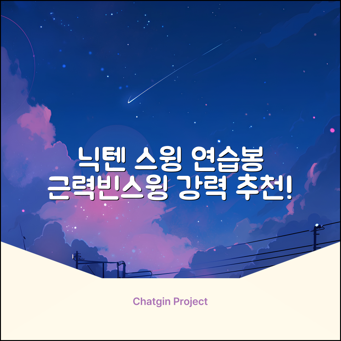 닉텐 배드민턴 스윙연습봉 - 근력강화 및 빈스윙연습, 1개, 스윙연습기 추천 리뷰