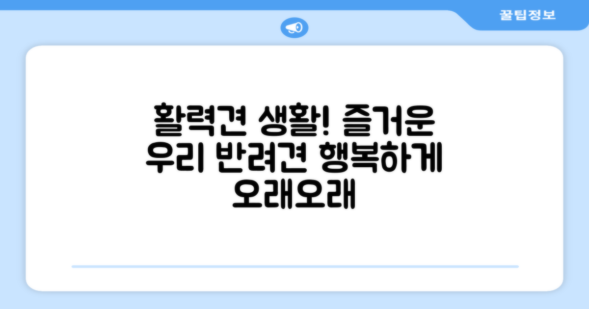 활력 넘치는 반려견 생활