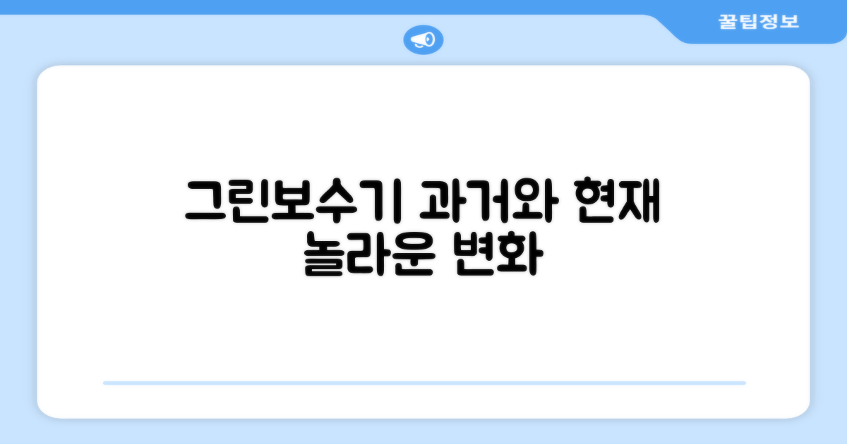 그린보수기: 과거와 현재