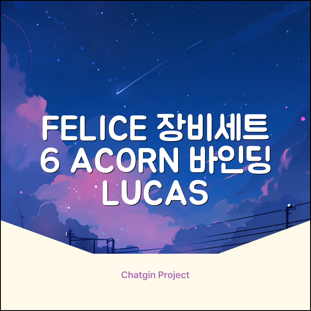 FELICE 장비세트6 ACORN데크 바인딩 LUCAS부츠, WESTSIDE 레드154+바인딩M, 1개 추천 리뷰
