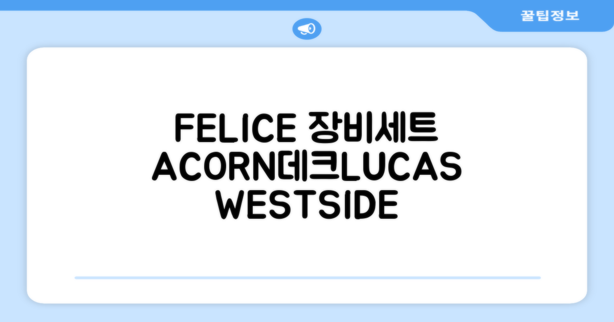 FELICE 장비세트6 ACORN데크 바인딩 LUCAS부츠, WESTSIDE 레드154+바인딩M, 1개 추천 리뷰