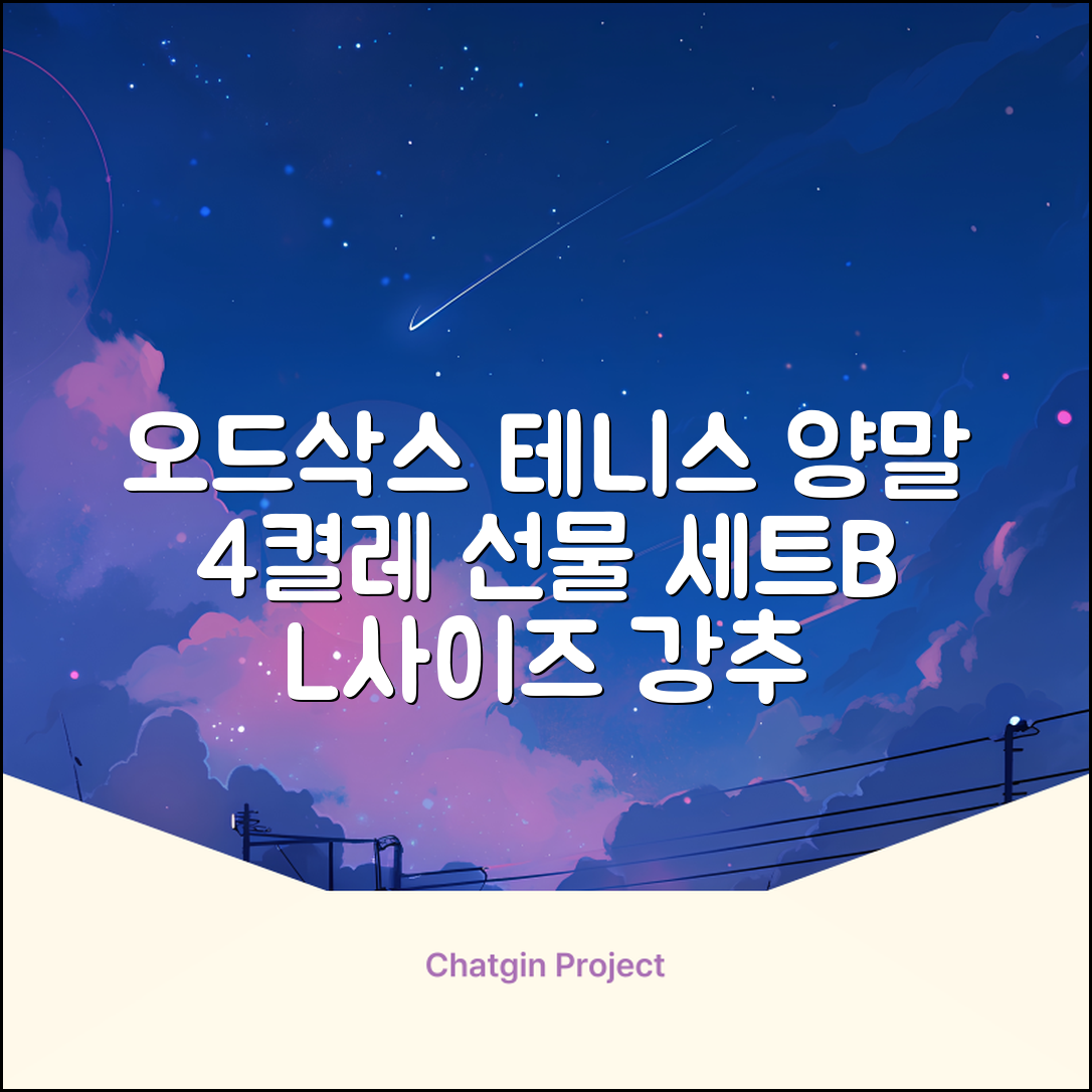 [오드삭스] 테니스 양말 세트B 4켤레 선물용, L(255mm-275mm), 1개 추천 리뷰