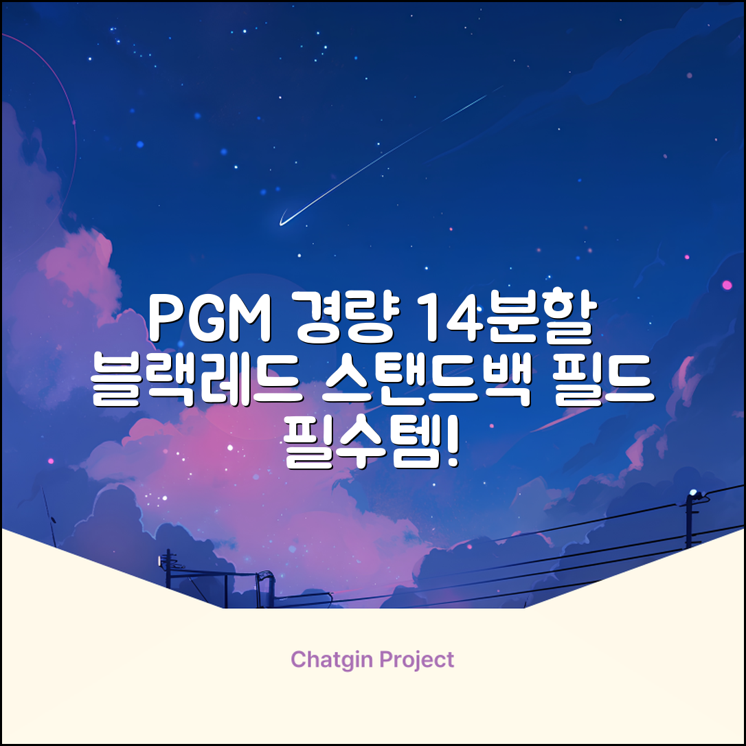 피지엠코리아 PGM 경량 14분할 골프백 스탠드백 캐디백, 블랙레드 추천 리뷰