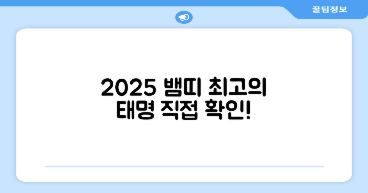 2025 뱀띠 태명 자수 직접 확인하세요