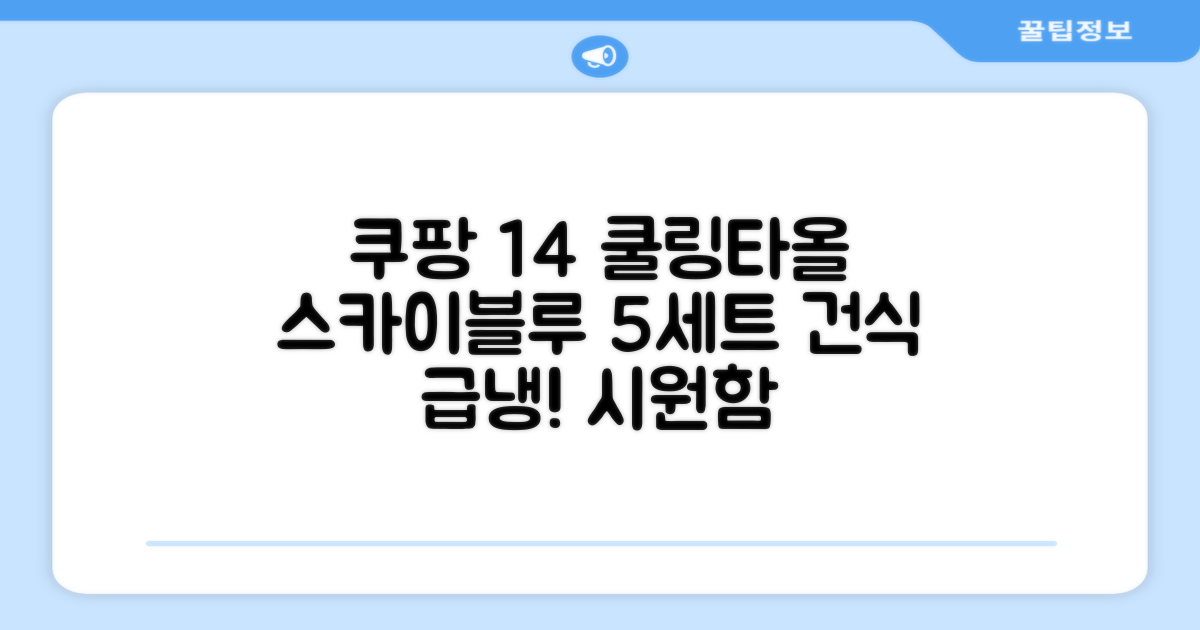 [쿠팡입점 1+4 이벤트] 아이스 쿨링 스포츠타올 건식 급냉 타올, 5세트, 스카이블루 추천 리뷰