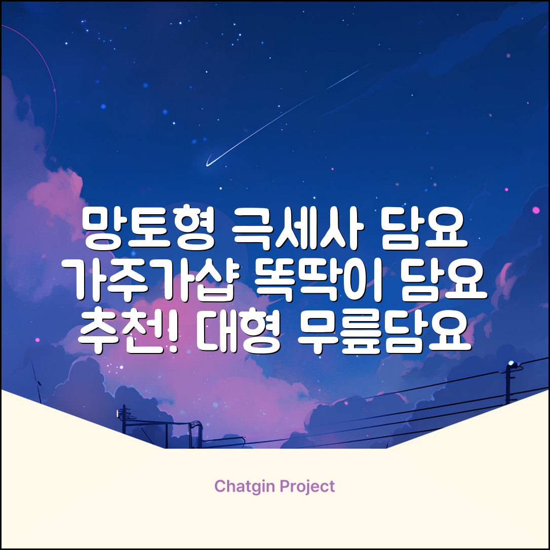 가주가샵 망토처럼 입을 수 있는 똑딱이 극세사 대형 무릎담요 추천 리뷰