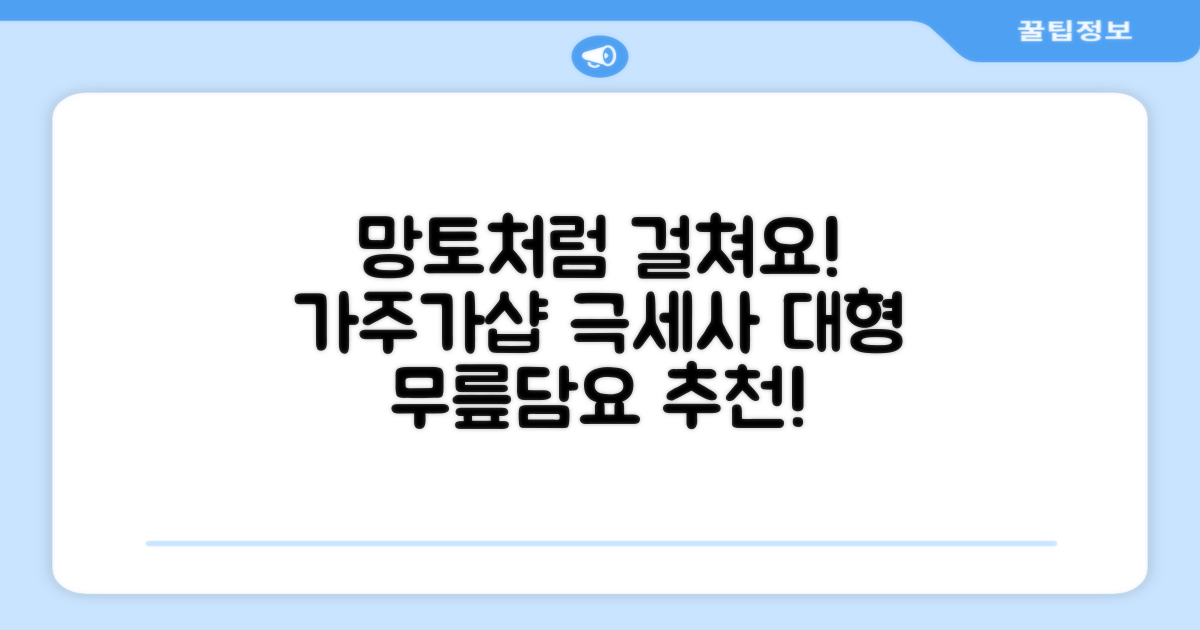 가주가샵 망토처럼 입을 수 있는 똑딱이 극세사 대형 무릎담요 추천 리뷰