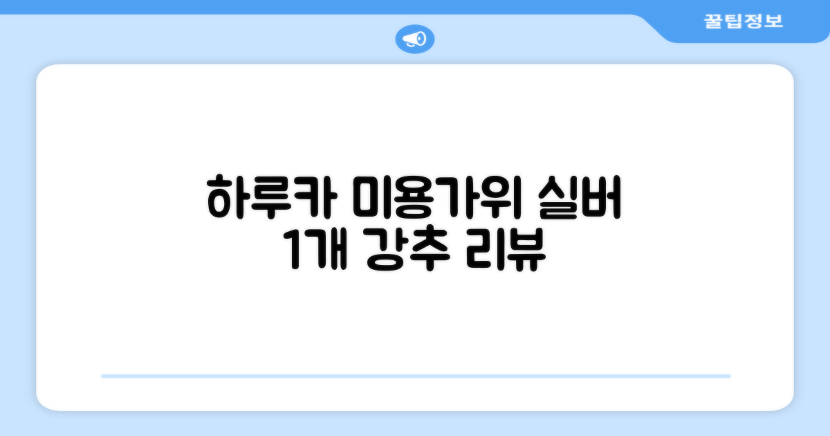 하루카 미용가위 세트, 실버, 1개 추천 리뷰