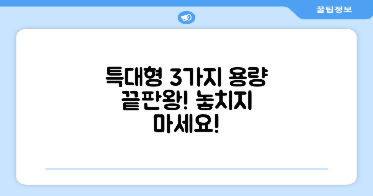 3가지 특대형 용량