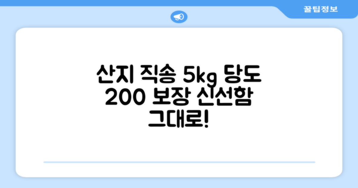 산지 직송 5kg 당도 보장