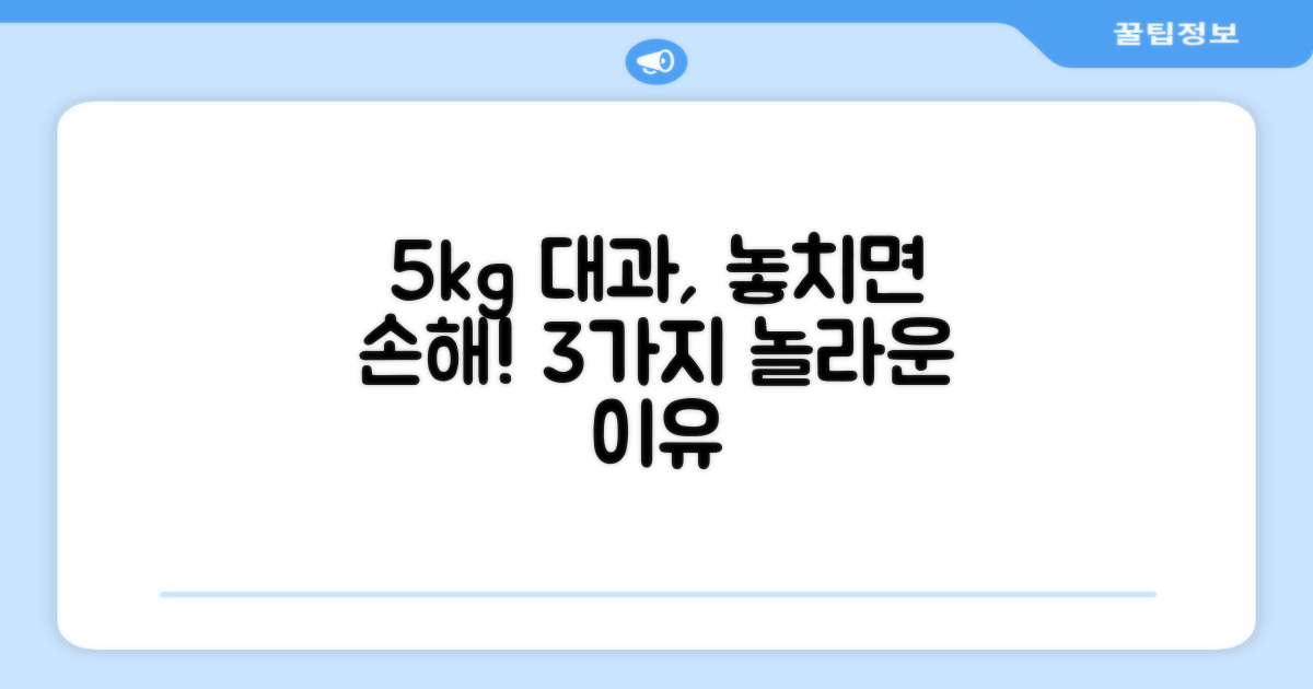 5kg 대과의 3가지 장점
