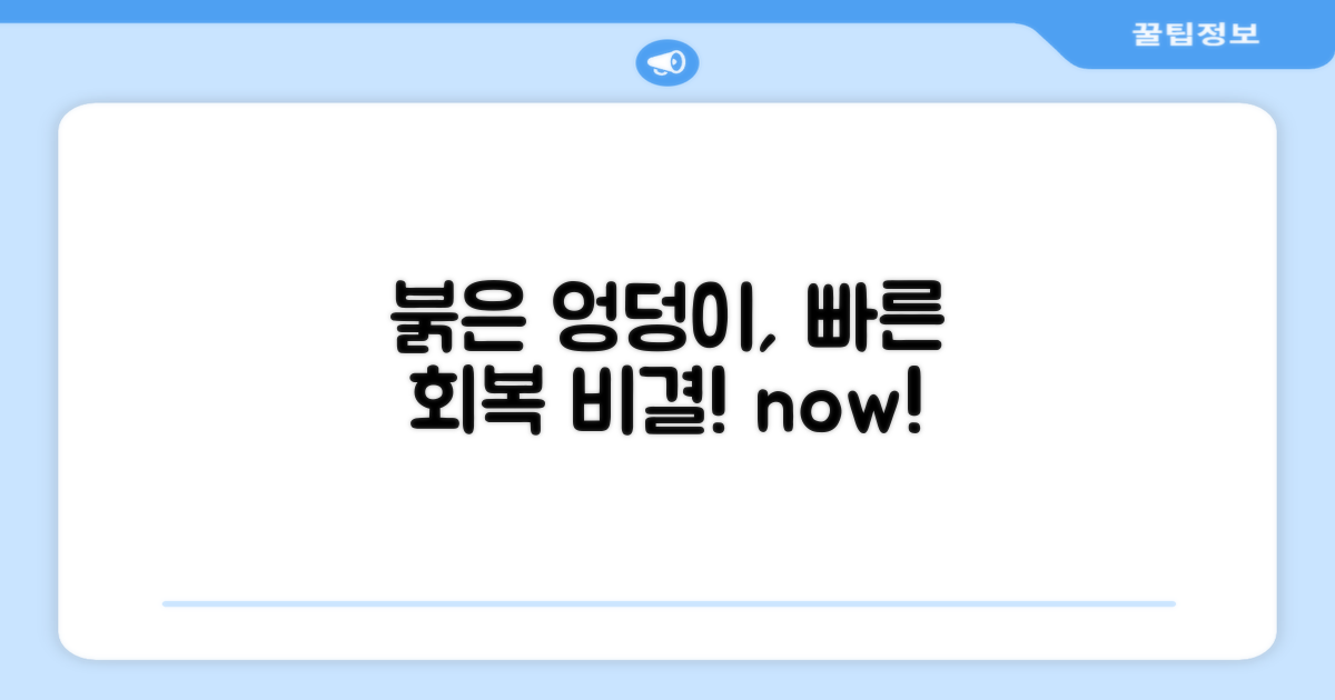 붉은 엉덩이, 빠르게 회복시키세요