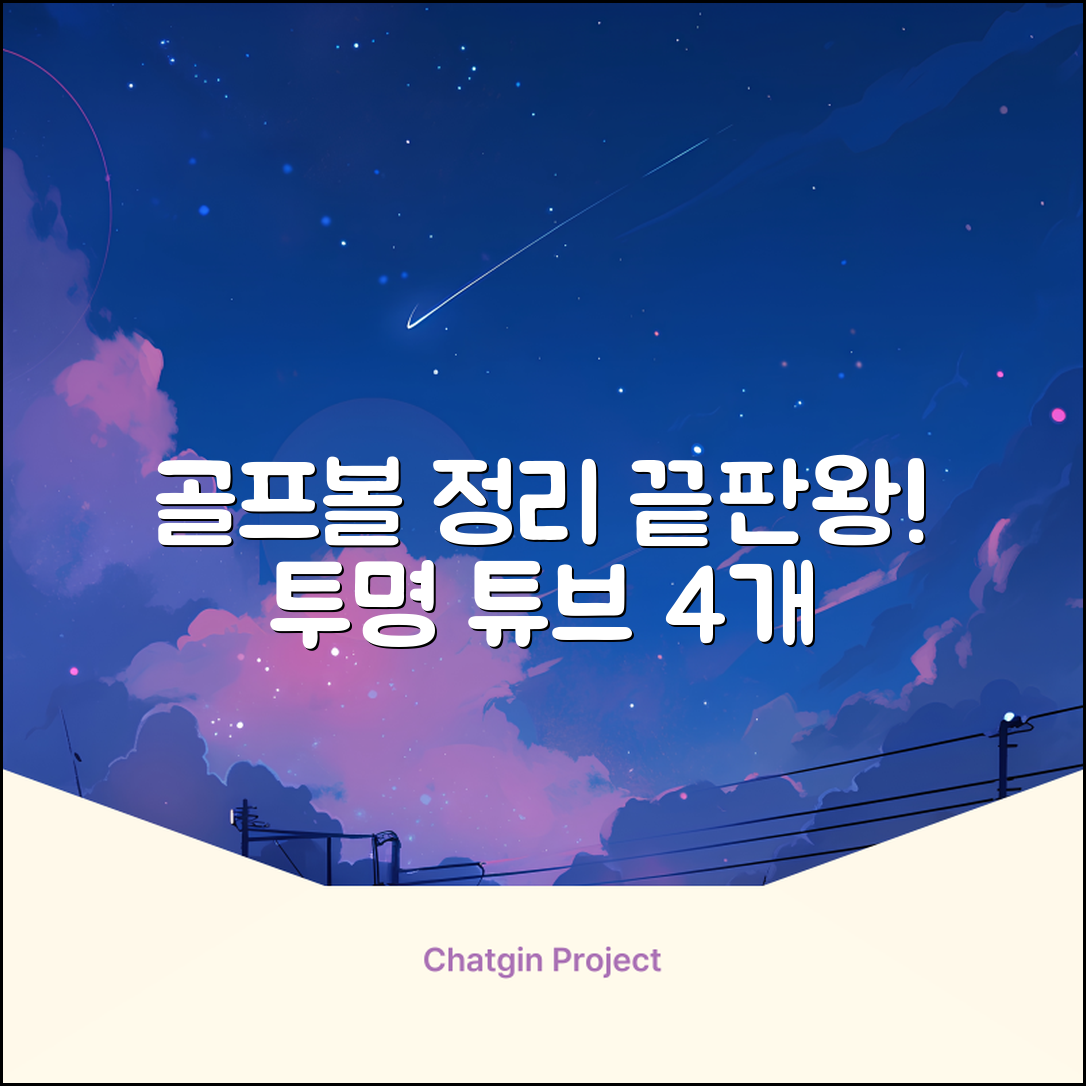 캡 골프 운반 케이스 투명 플라스틱 튜브 휴대용 볼 케이스 골프 정리함이 있는 4Pcs 골프 배럴 투명 튜브, 4개 추천 리뷰