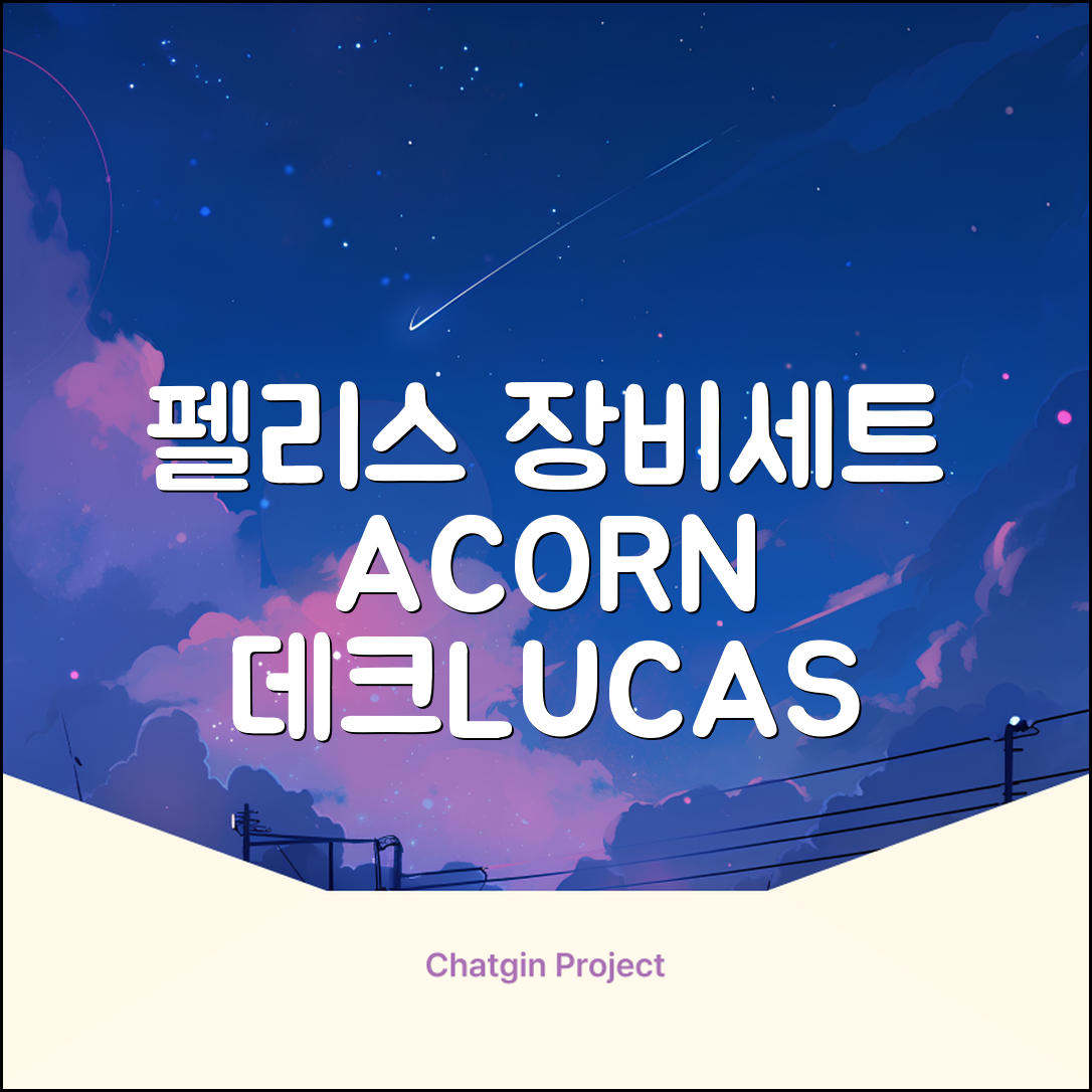 FELICE 장비세트6 ACORN데크 바인딩 LUCAS부츠, WESTSIDE 레드154+바인딩M, 1개 추천 리뷰