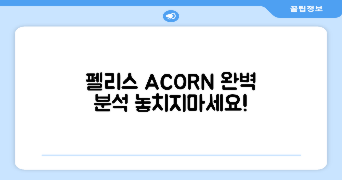 펠리스 ACORN 세트 완벽 분석