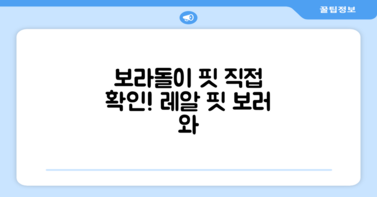 보라돌이 핏, 직접 확인하세요!
