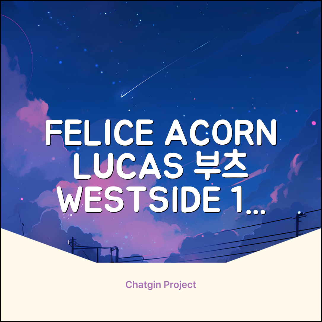 FELICE 장비세트6 ACORN데크 바인딩 LUCAS부츠, WESTSIDE 레드154+바인딩M, 1개 추천 리뷰