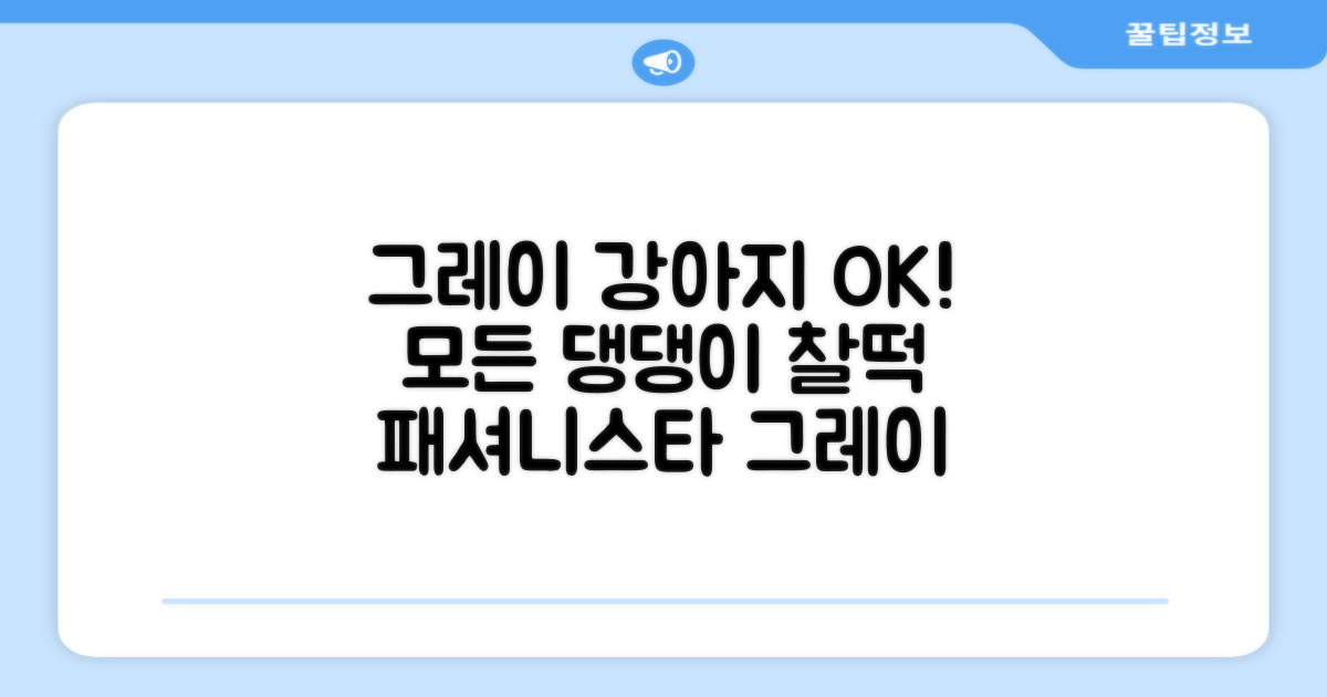 그레이 색상, 어떤 강아지든 OK