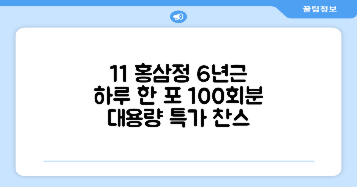 [1+1 특가] 홍삼정 6년근 하루한포 100회분 대용량+쇼핑백, 2개, 1L 추천 리뷰