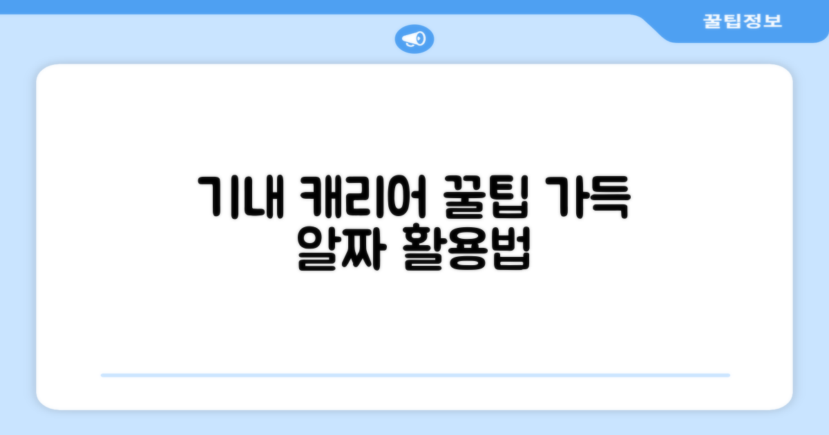 기내 캐리어, 활용법 알아보세요