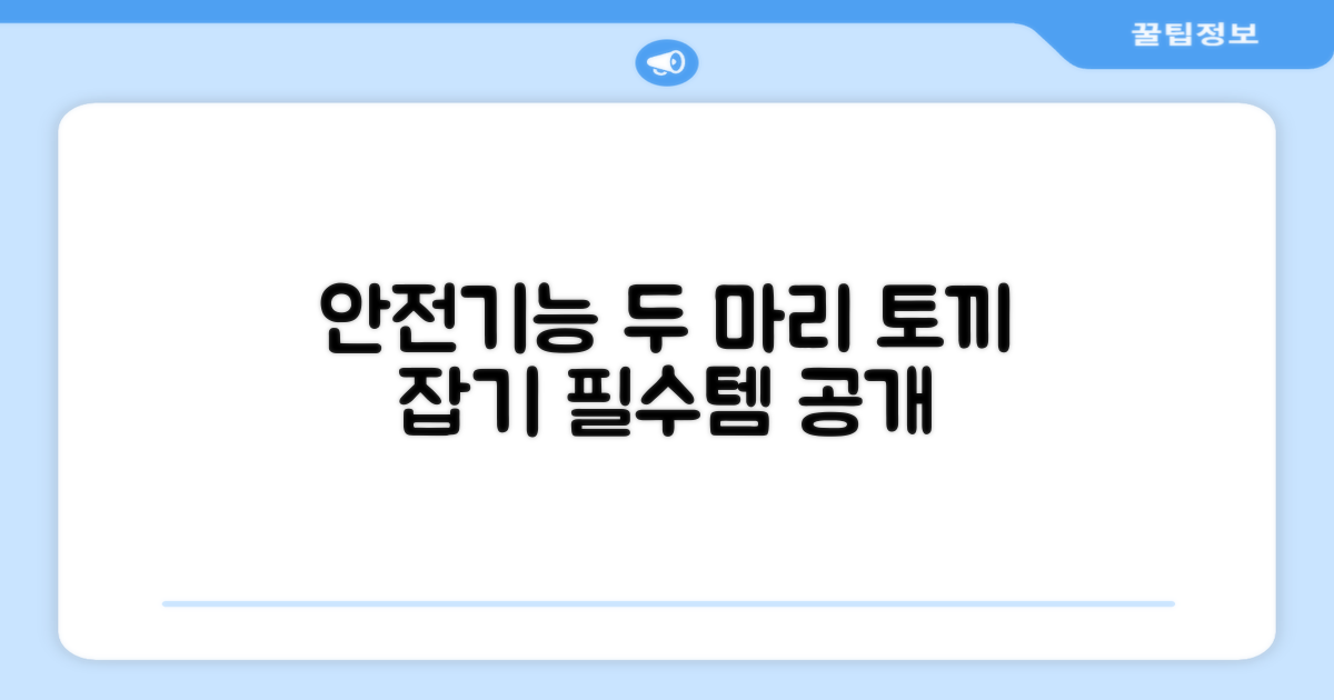 안전과 기능, 두 마리 토끼