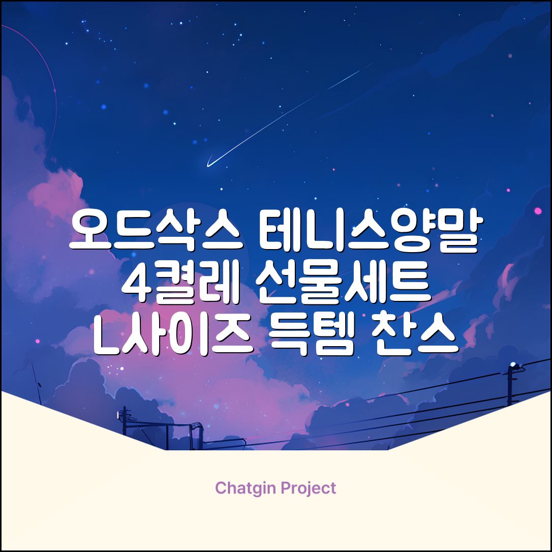 [오드삭스] 테니스 양말 세트B 4켤레 선물용, L(255mm-275mm), 1개 추천 리뷰