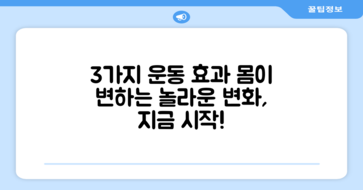 3가지 운동 효과