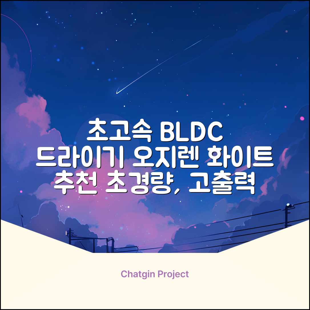 오지렌 초고속 고출력 초경량 음이온 BLDC 모터 헤어 드라이기, 화이트 추천 리뷰