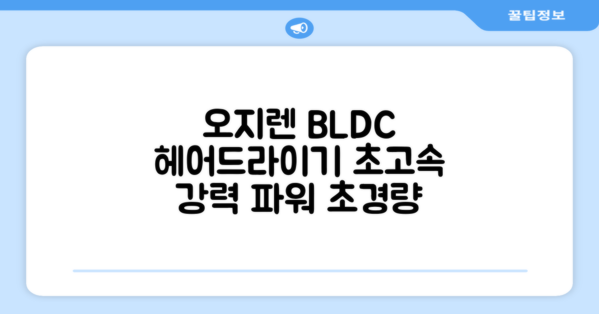 오지렌 초고속 고출력 초경량 음이온 BLDC 모터 헤어 드라이기, 화이트 추천 리뷰