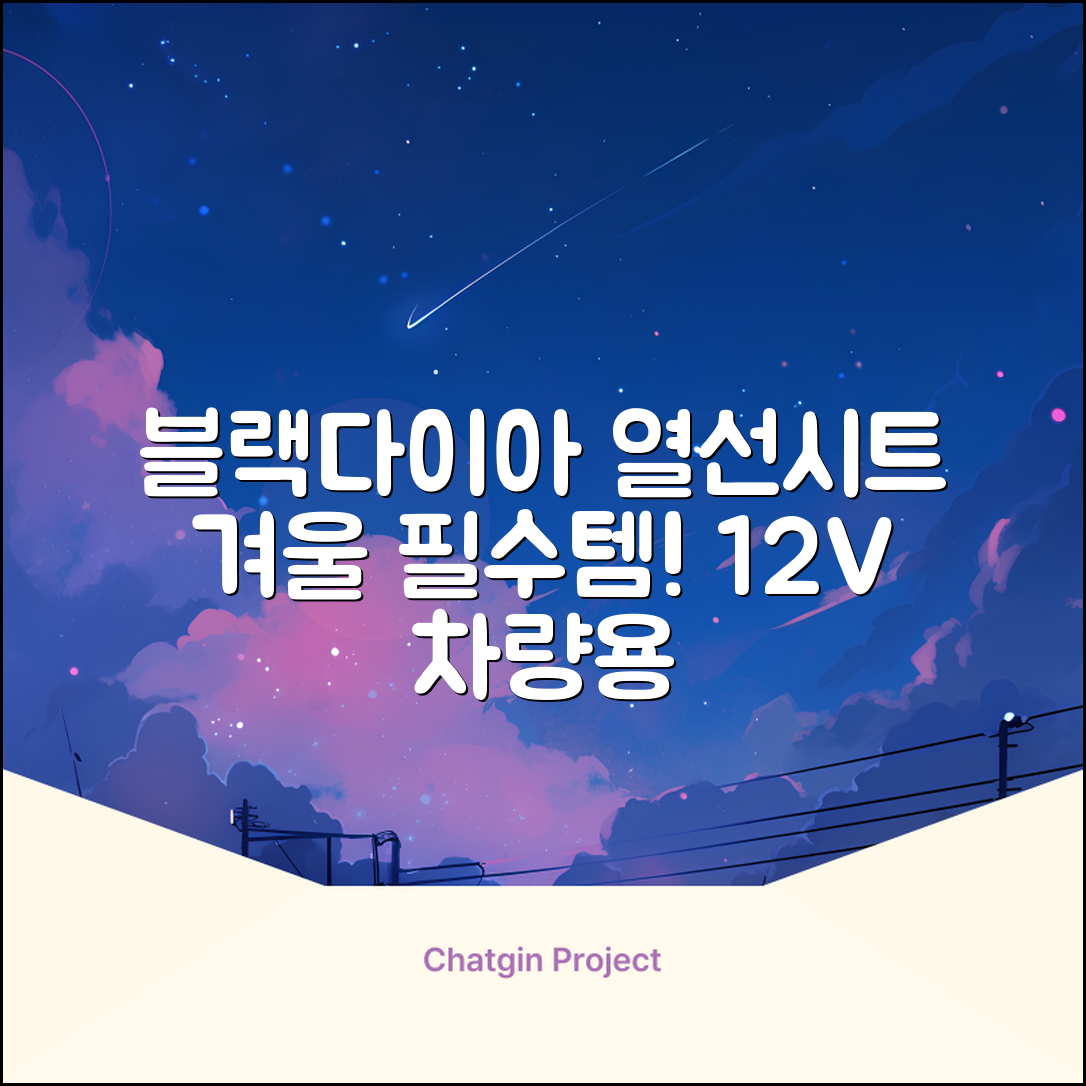 블랙다이아 차량용 열선시트 (1P) 털 겨울 히팅 전기시트, 1개, 12V (운전/조수석) 추천 리뷰