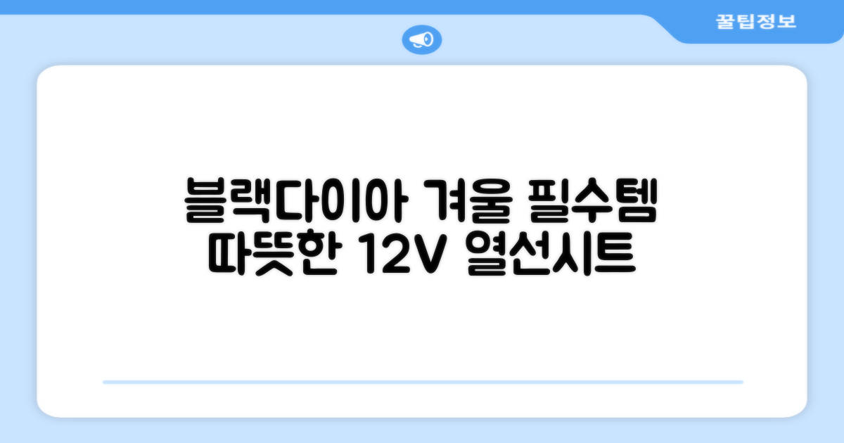 블랙다이아 차량용 열선시트 (1P) 털 겨울 히팅 전기시트, 1개, 12V (운전/조수석) 추천 리뷰