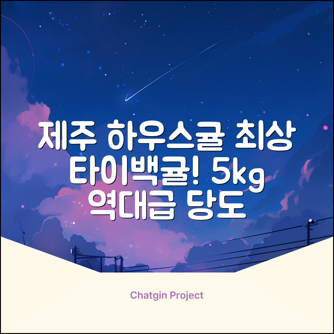 [산지당도선별] 제주 명품 하우스 귤 타이백 감귤, 1박스, 5kg 대과 추천 리뷰