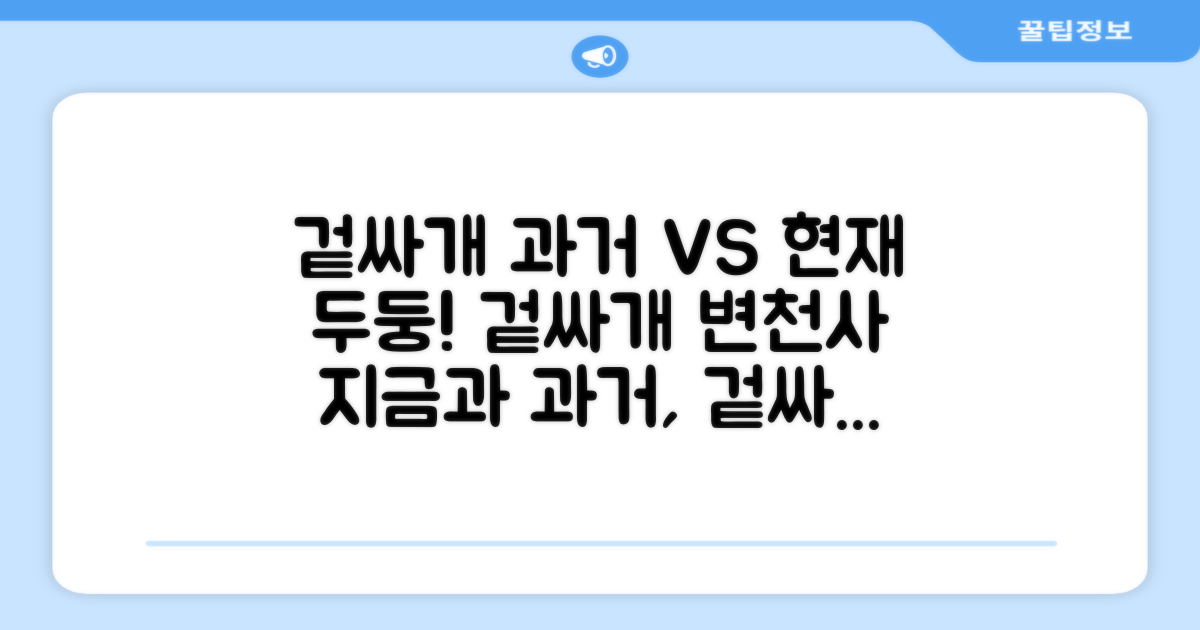 겉싸개, 과거와 현재 비교