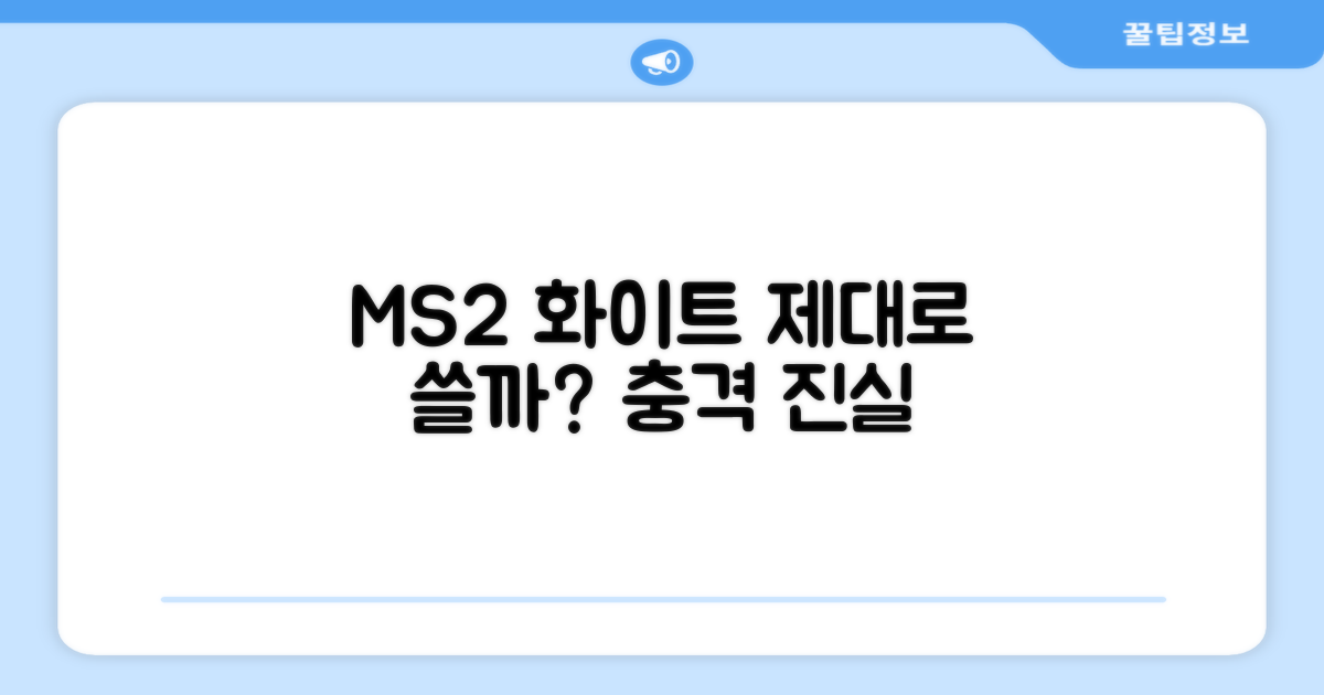 MS2 화이트, 제대로 쓸 수 있을까?