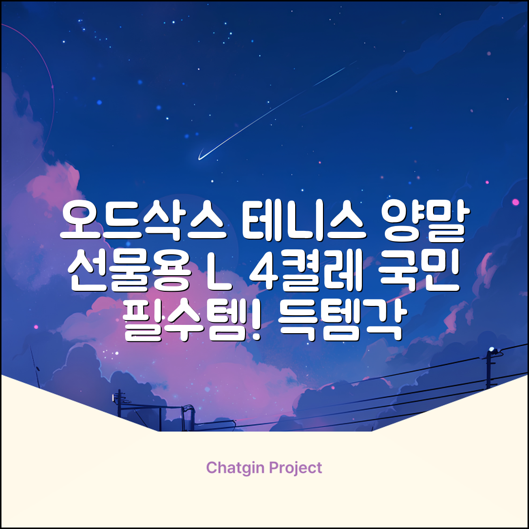 [오드삭스] 테니스 양말 세트B 4켤레 선물용, L(255mm-275mm), 1개 추천 리뷰