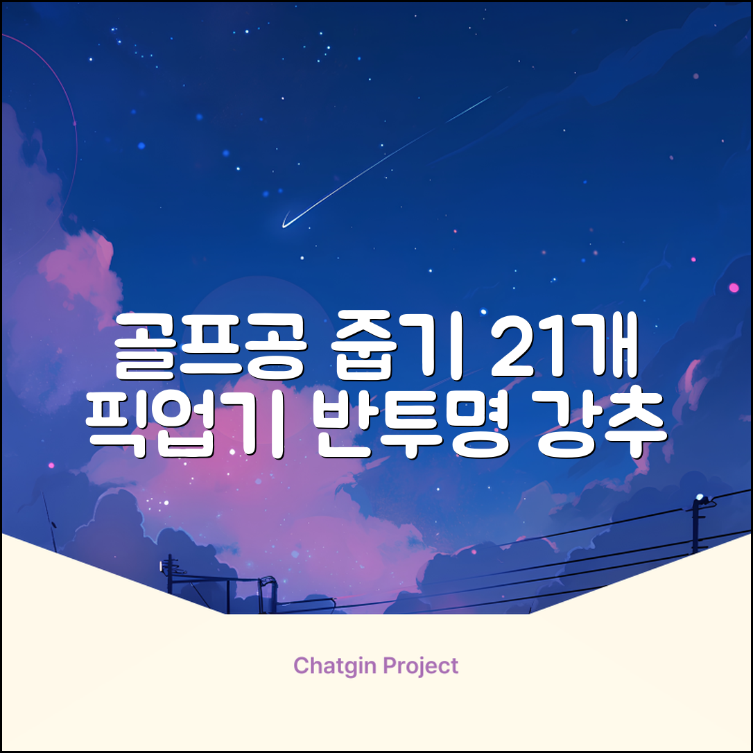 골프공 픽업기 줍기 회수기 수집기 수거기 공21개, 반투명, 1개 추천 리뷰