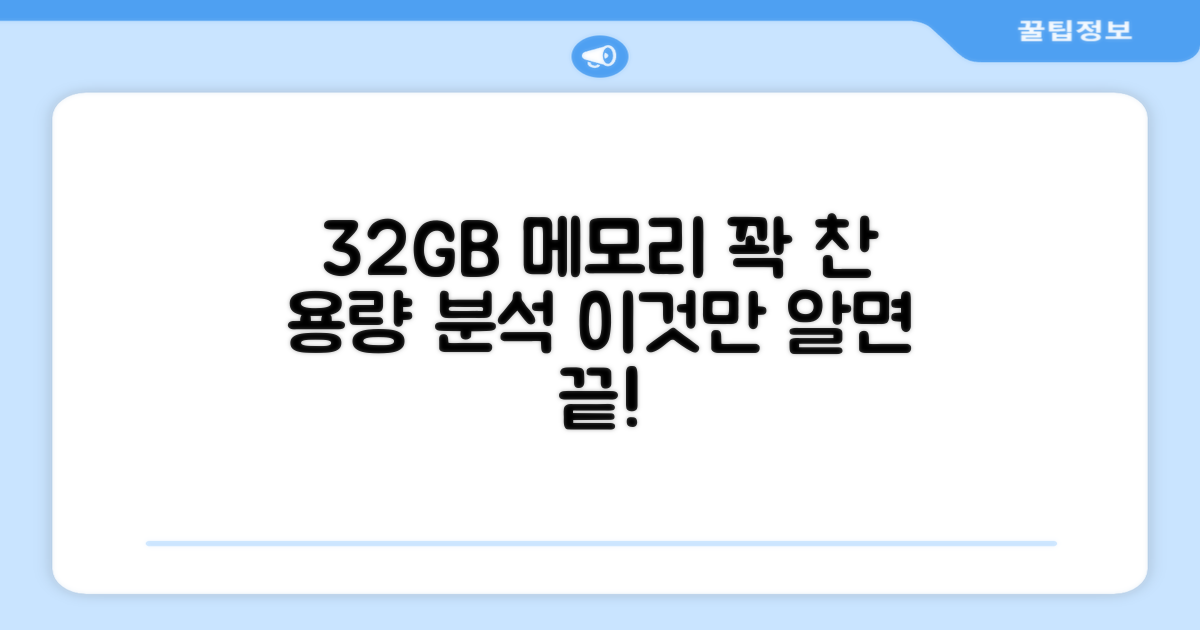 32GB 메모리 용량 분석