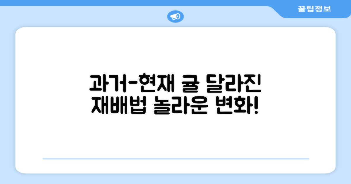 과거와 현재, 귤 재배의 변화