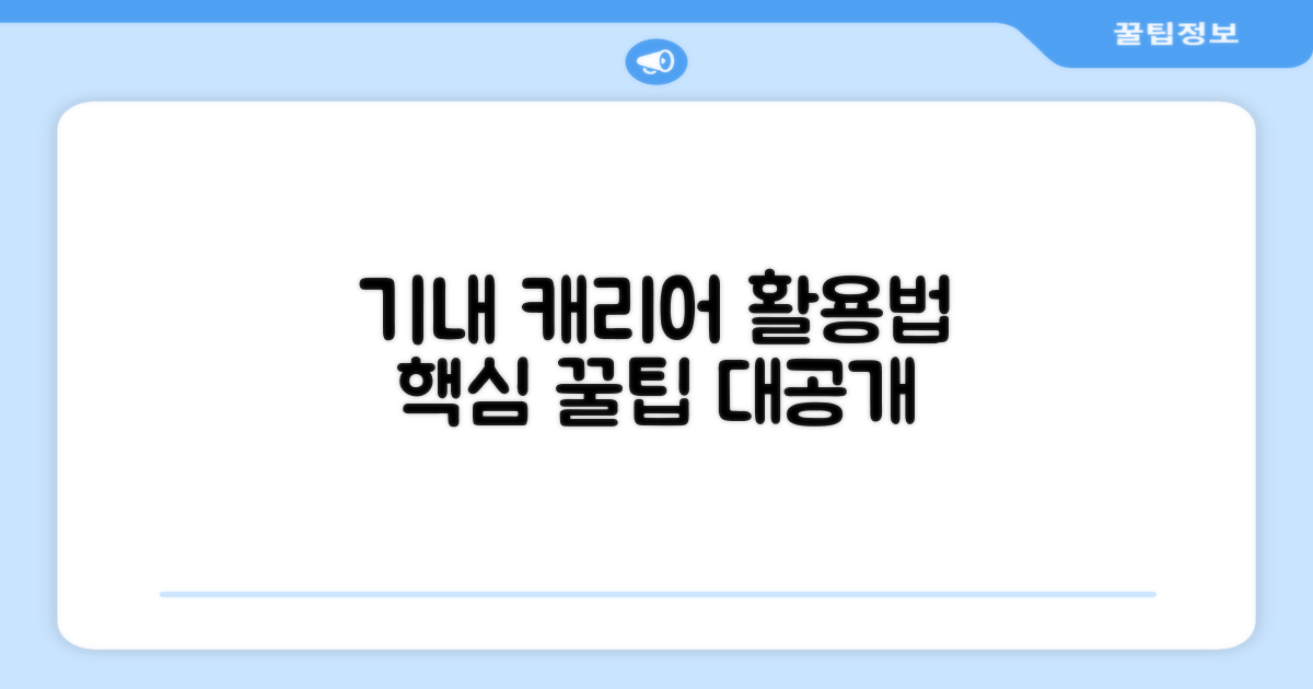 기내 캐리어로 활용해 보세요