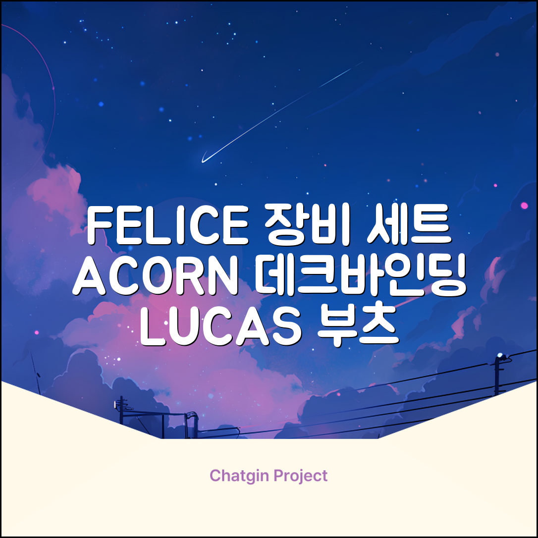 FELICE 장비세트6 ACORN데크 바인딩 LUCAS부츠, WESTSIDE 레드154+바인딩M, 1개 추천 리뷰